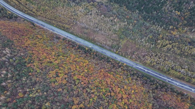 航拍视角黑龙江伊春秋天公路