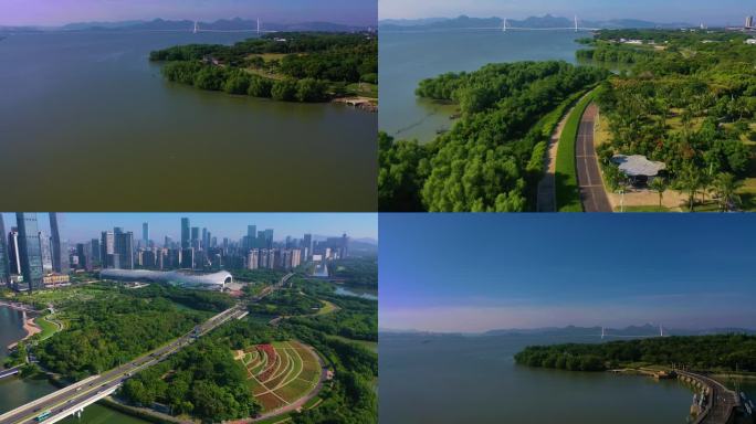 深圳湾  后海湾 前 海湾区 深圳湾大桥