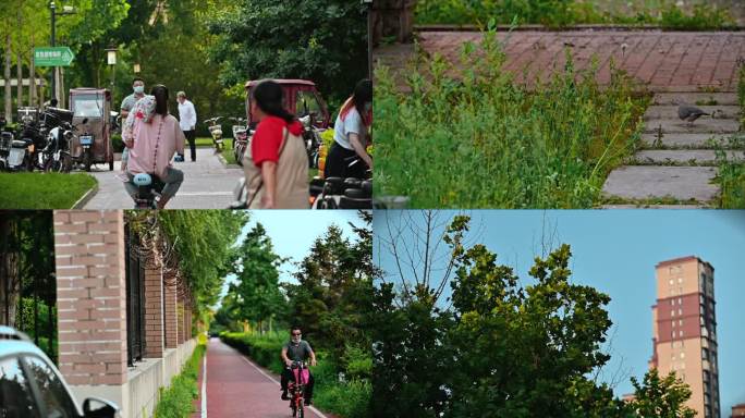 生活 人文 健身 运动 河边 夏日 水