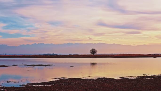 落日孤独的一棵树湖面延时拍摄唯美