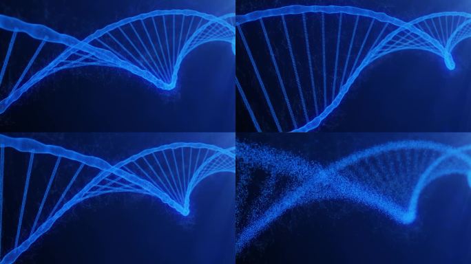三维动画与蓝色的DNA链旋转和衰变的染色体