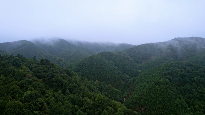大自然森林云雾大山树林