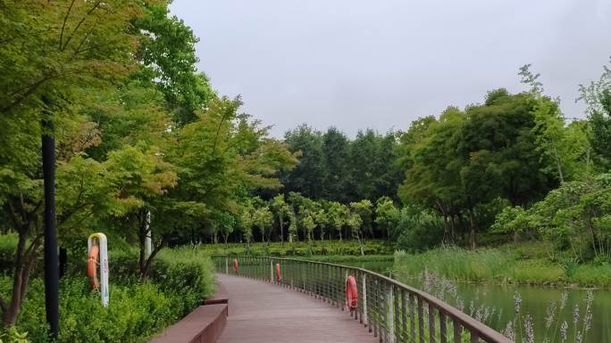 上海浦江郊野公园风光游览4k实拍