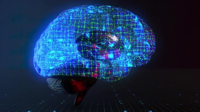 人工智能，数字大脑