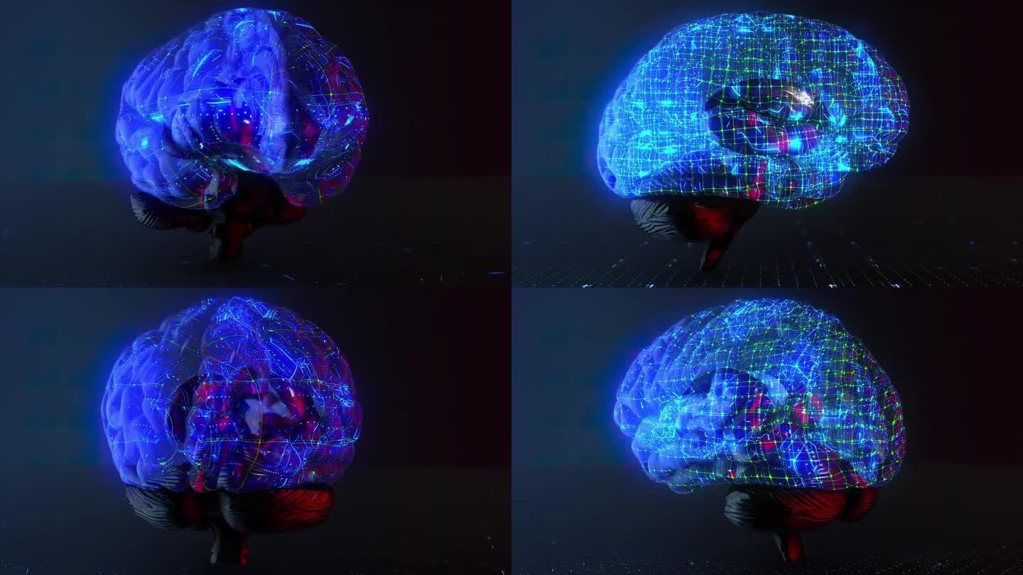 人工智能，数字大脑
