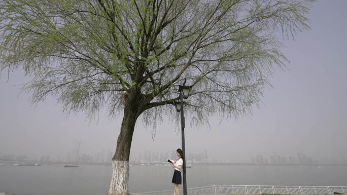 女生在武昌江滩孤独的树下看书看风景
