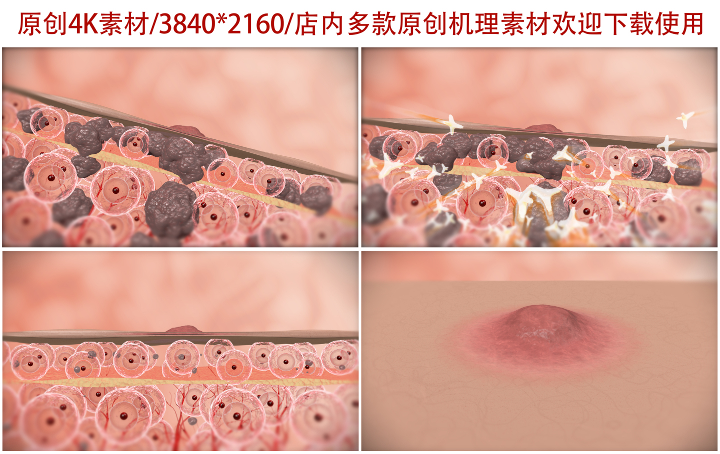 细胞精华蛋白修复肌肤