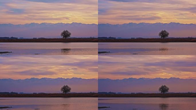 落日孤独的一棵树湖面延时拍摄唯美