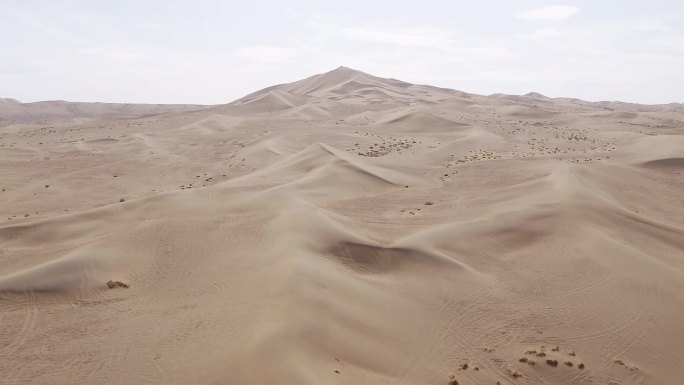 沙漠骆驼 行走戈壁 城堡 西域文明 新疆