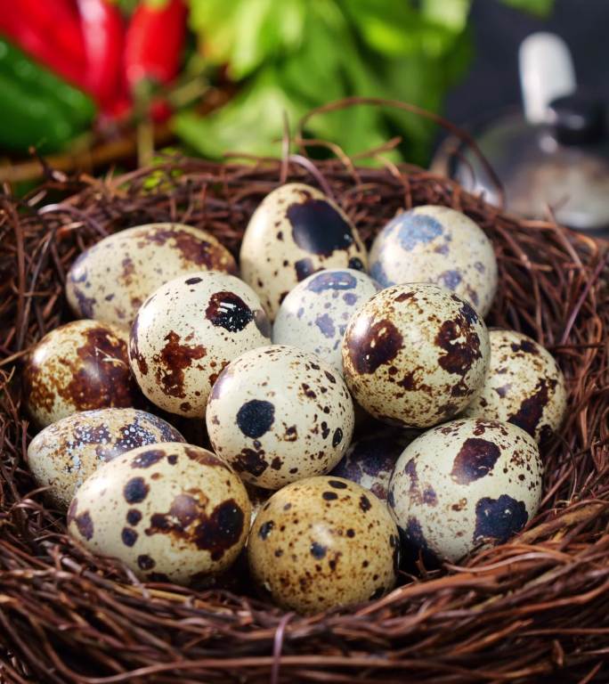 鹌鹑蛋 鹑鸟蛋 鹌鹑卵 生鹌鹑蛋