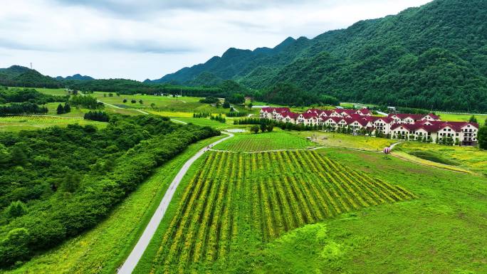 重庆巫溪山顶的一处美景红池坝剪辑版