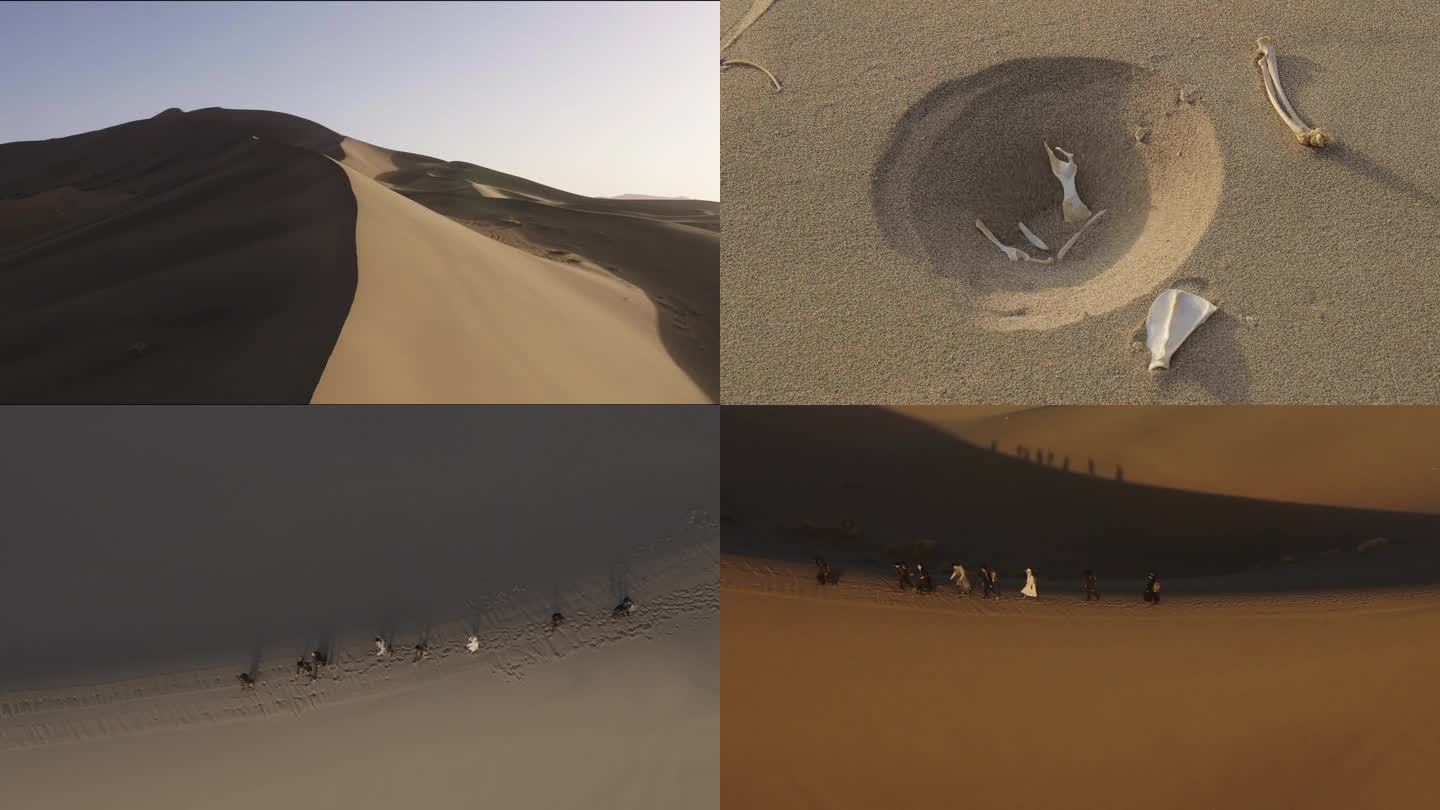 西域文化 沙漠 考古 沙漠里行走 流沙