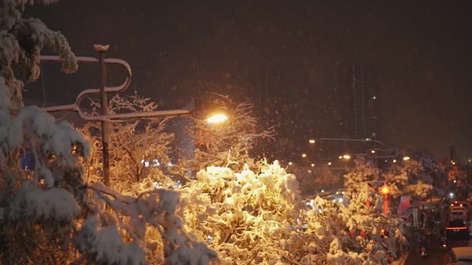 路灯夜晚下雪路灯下的雪花