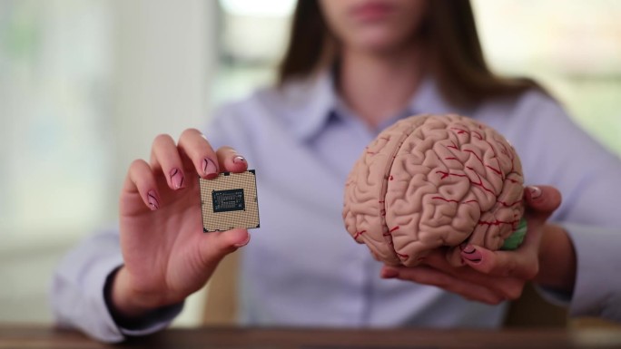 女商人拿着塑料人脑模型中的微型电脑芯片