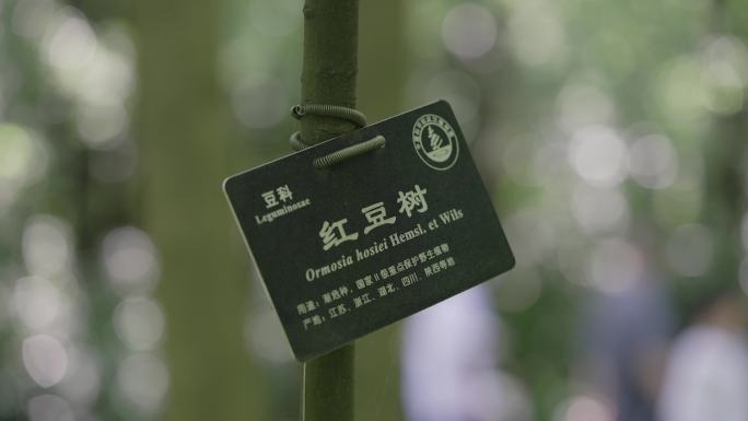 中国科学院武汉植物园里各种花草植物空镜3