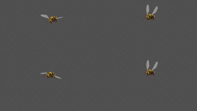 蜜蜂飞舞C4D工程文件