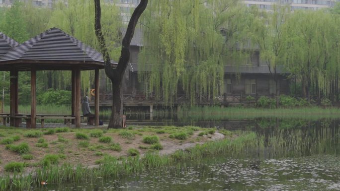 雨后公园湖边景象