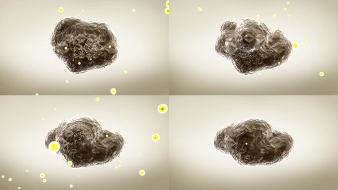 断裂痰栓菌垢毒素DNA基因