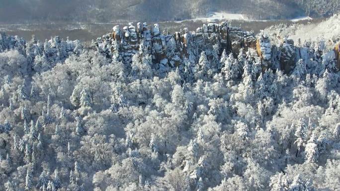 雪后石林