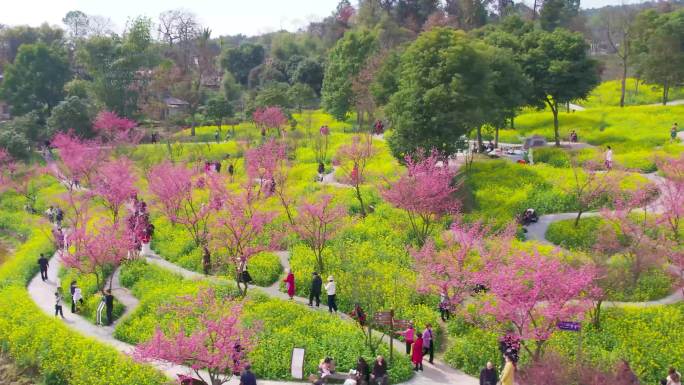 Z0072春天赏花 游客 美景 自然风光