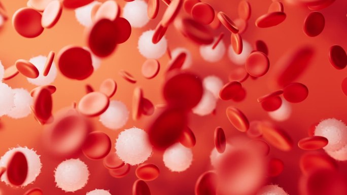血液和红细胞，3d渲染。