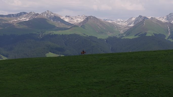 航拍牧民骑马飞驰在新疆喀拉峻草原