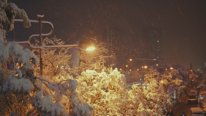 城市夜晚雪景 夜晚下雪 下雪的夜 雪夜