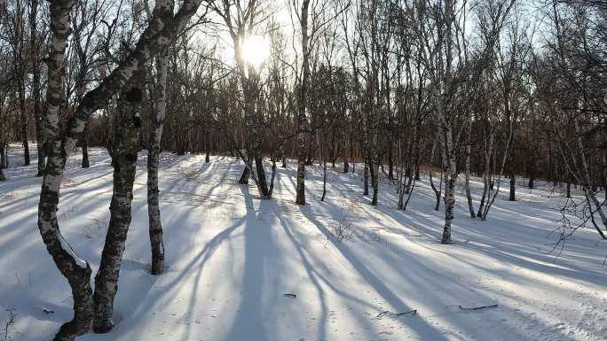 移动镜头+固定镜头的树林雪景