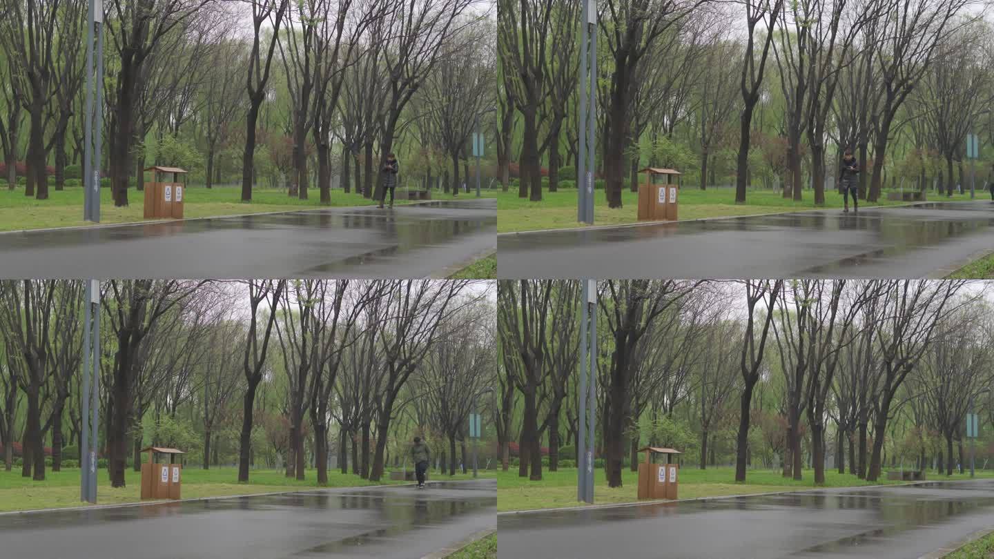 雨后公园行人经过