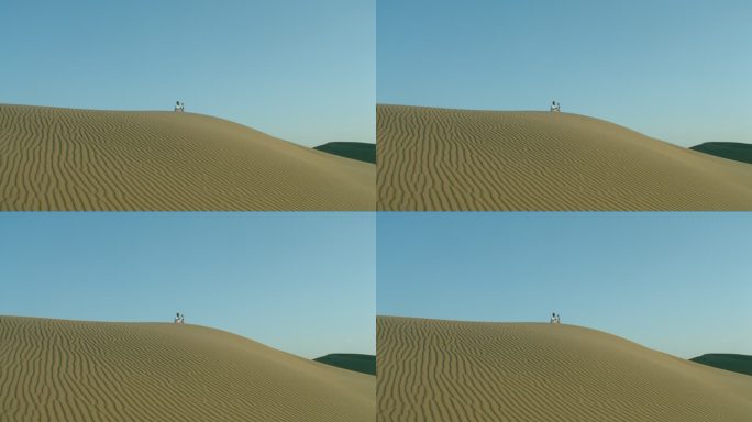 沙漠-马头琴4
