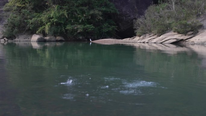 溪流 河流小溪 溪水小河武夷山漂泊