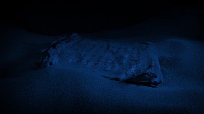 夜间在洞穴中捡到的中国古代羊皮纸