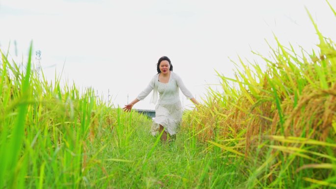 田野狂奔