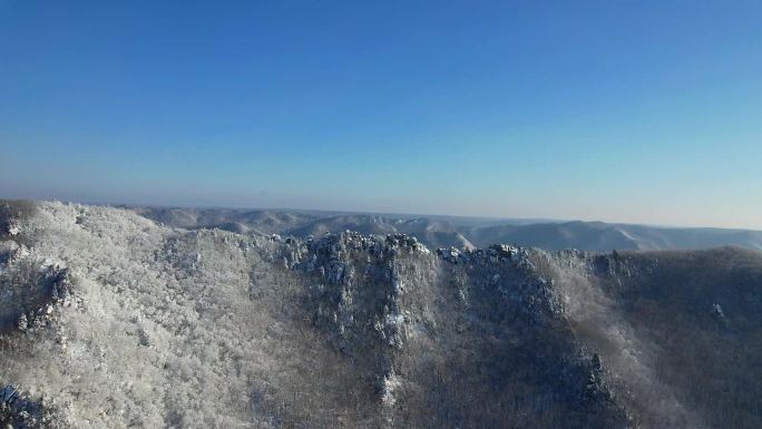 雪后石林