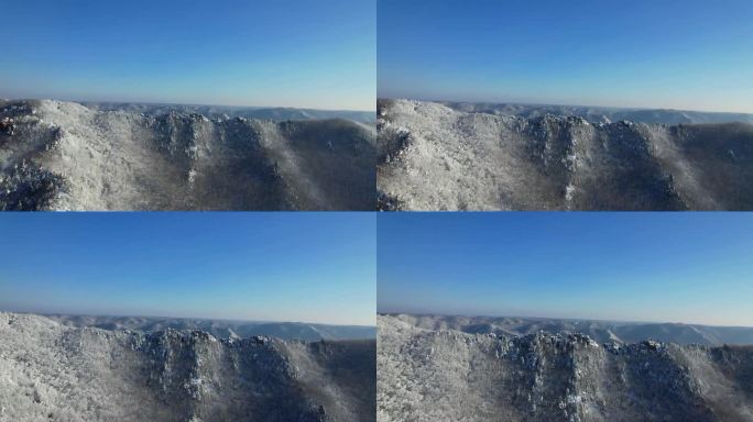 雪后石林