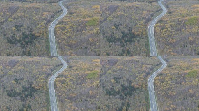 航拍视角黑龙江伊春秋天公路