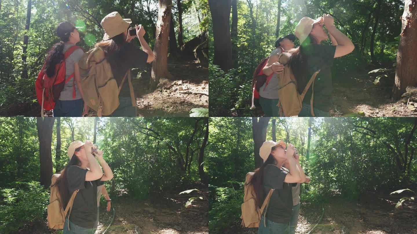 徒步旅行者母亲和女儿背着背包在绿色的树林里徒步旅行