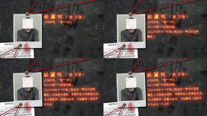 纪检 反腐 案情分析 警示教育嫌疑人介绍