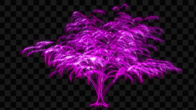 紫色水晶发光树生长动画-带透明通道