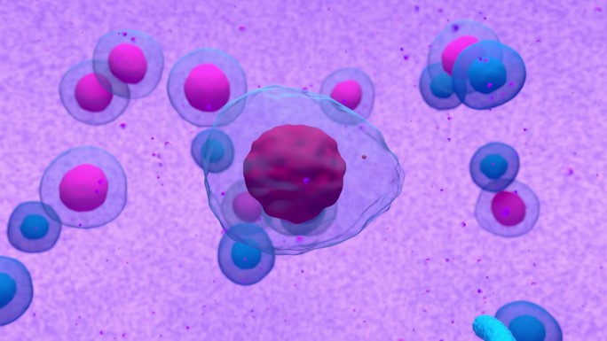 多发性骨髓瘤异常浆细胞或b细胞释放副蛋白三维渲染动画