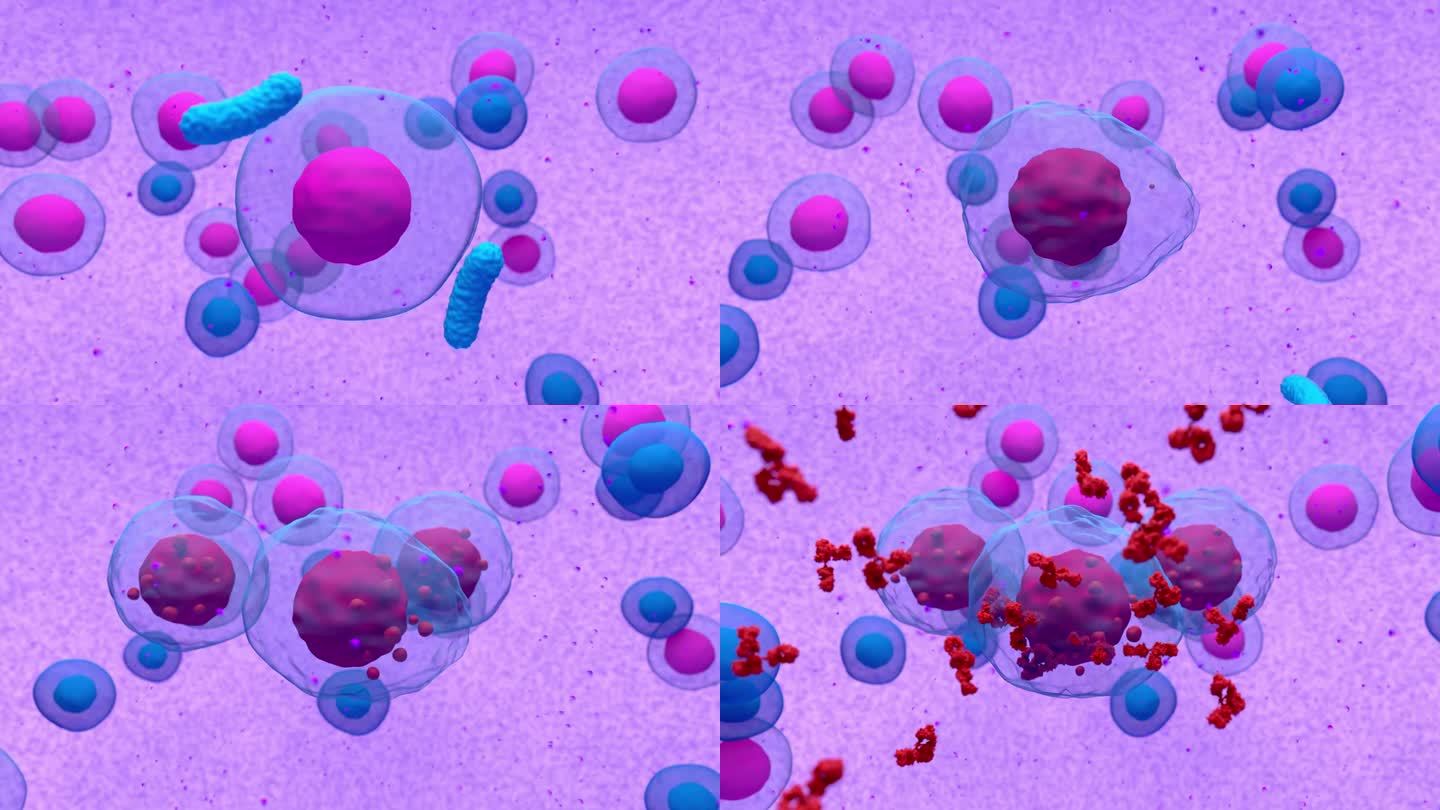 多发性骨髓瘤异常浆细胞或b细胞释放副蛋白三维渲染动画