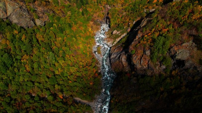 鸟瞰秋日的森林和河流沿岩石流动，慢动作镜头