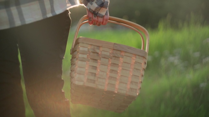 提着木篮子的妇女手提择菜摘菜农村生活