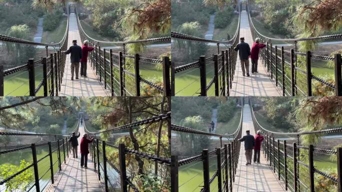 吊桥老夫妻老年人吓出一声汗惊险刺激老桥