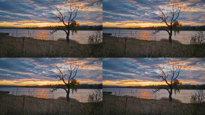 秋日夕阳下的乡村，可以看到湖边一棵枯柳