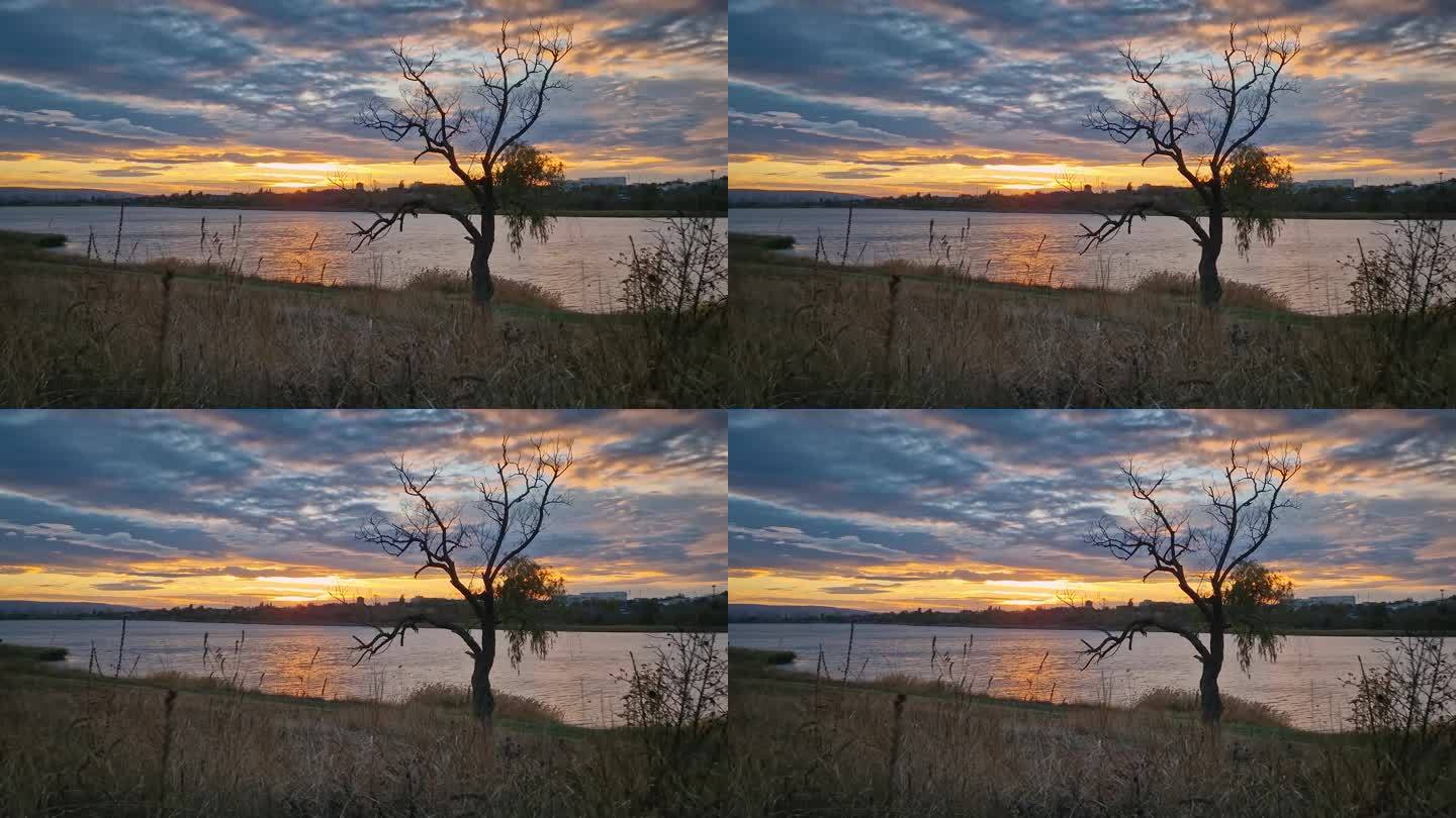 秋日夕阳下的乡村，可以看到湖边一棵枯柳