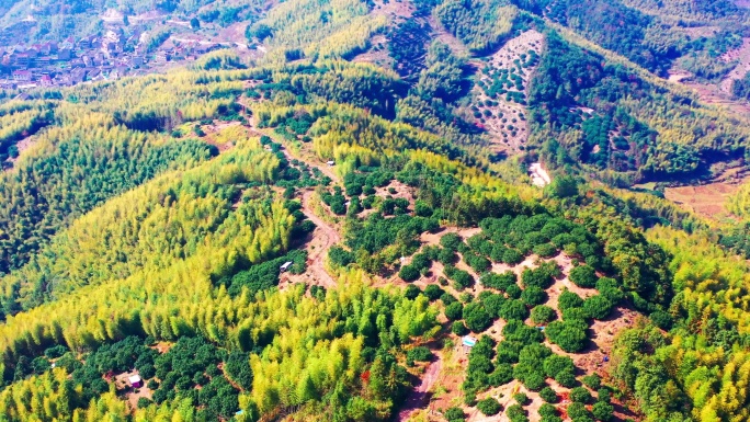 临海市茶辽古道，茶辽枫岭，茶辽村