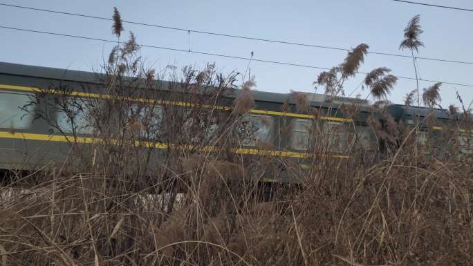 冬天的绿皮火车 列车 火车 出行 旅游