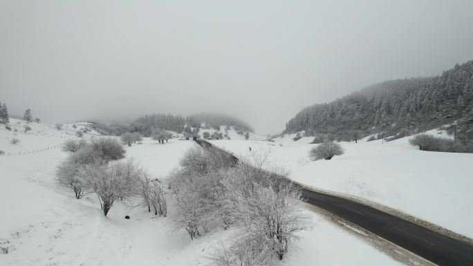 雪景