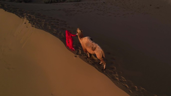 风吹沙漠延时丝绸之路女子沙漠里牵骆驼